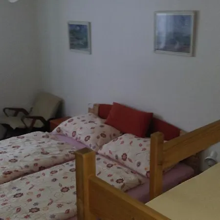 V Mladých Bukách Mladé Buky