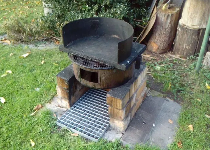 V Mladých Bukách *