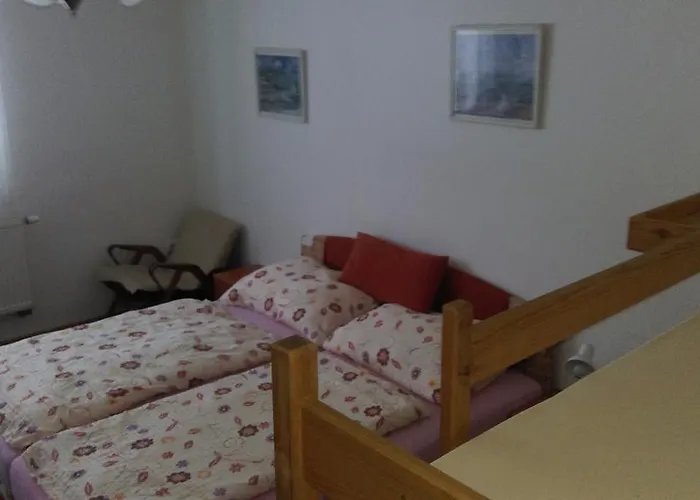 V Mladých Bukách Mladé Buky
